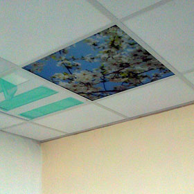 Ceiling Tile Graphics