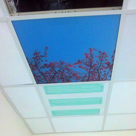 Ceiling Graphics by Absolute Graphix