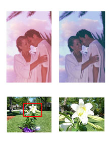 Digital Images